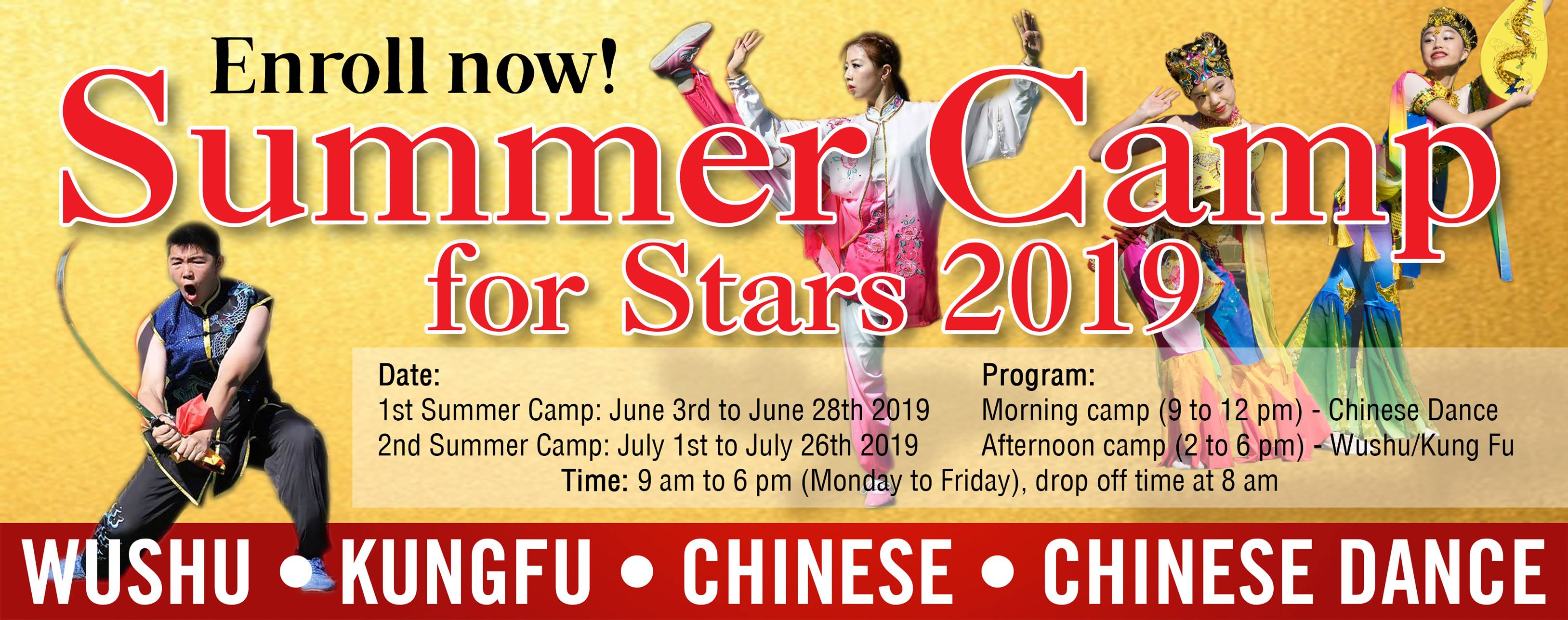 Wushu Academy Summer Camp Ad